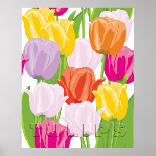 Affiche Tulipes Colorées