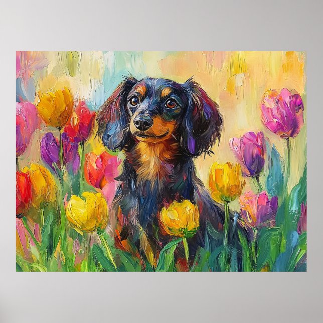 Affiche Tulipes colorées Dachshund mignonne Peinture (Devant)