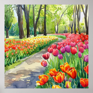 Affiche Tulipes dans le parc