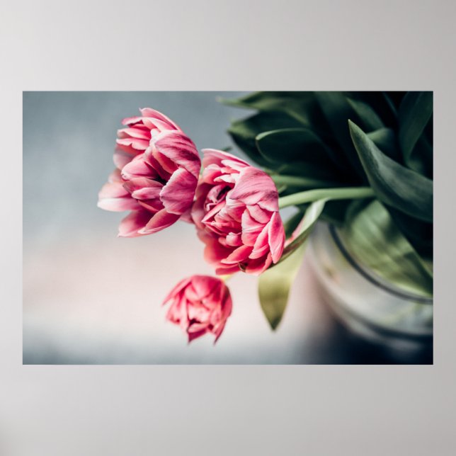Affiche Tulipes dans un vase (Devant)