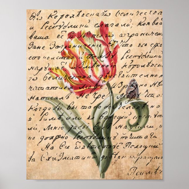 Affiche Tulipes de printemps et écriture manuscrite (Devant)