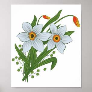 Affiche Tulipes et fleurs de jonquilles
