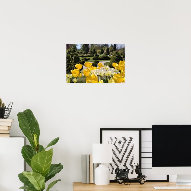 Affiche Tulipes jaunes de l'Arboretum Volcji Potok Slovéni (Bureau à domicile)