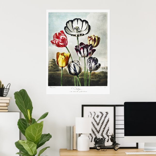 Affiche Tulipes multicolores de style Régence lunatique (Bureau à domicile)