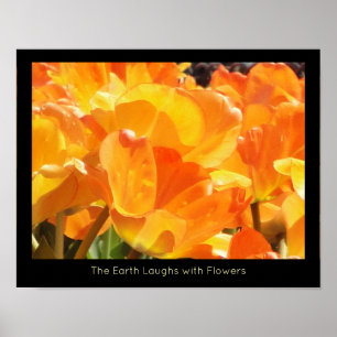 Affiche Tulipes Orange et Jaune Terre rit de fleurs