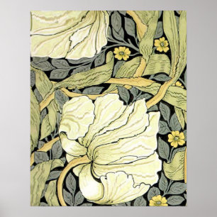 Affiche Tulipes Pimpernel Art Botanique de William Morris