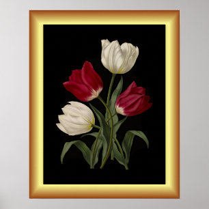 Affiche Tulipes primitives uniques ~ Art botanique Imprime