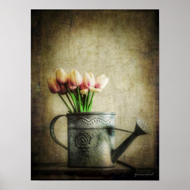 Affiche Tulipes roses dans un arrosoir (Devant)