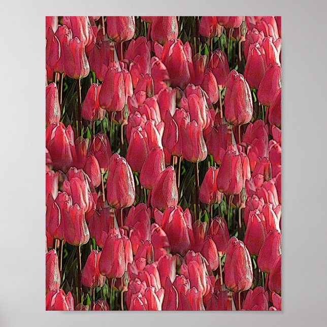 Affiche Tulipes roses florales (Devant)
