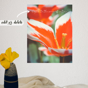 Affiche Tulipes rouges