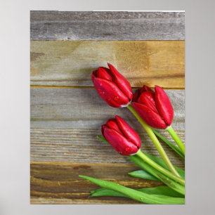 Affiche tulipes rouges de bois rustique