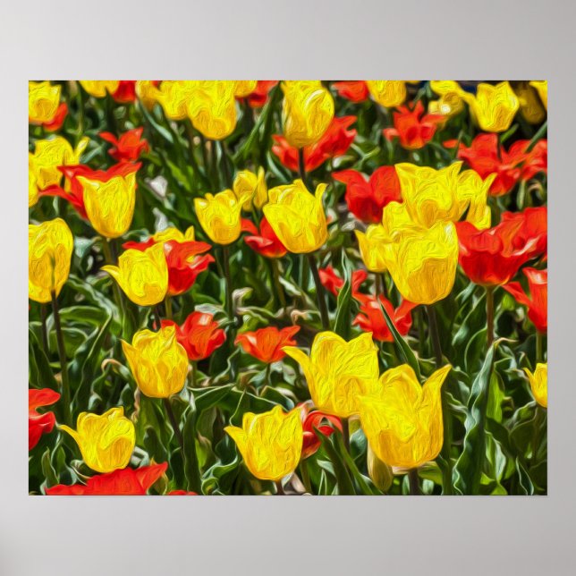 Affiche Tulipes rouges et jaunes (Devant)