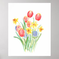 tulipes rouges et jonquilles jaunes aquarelle
