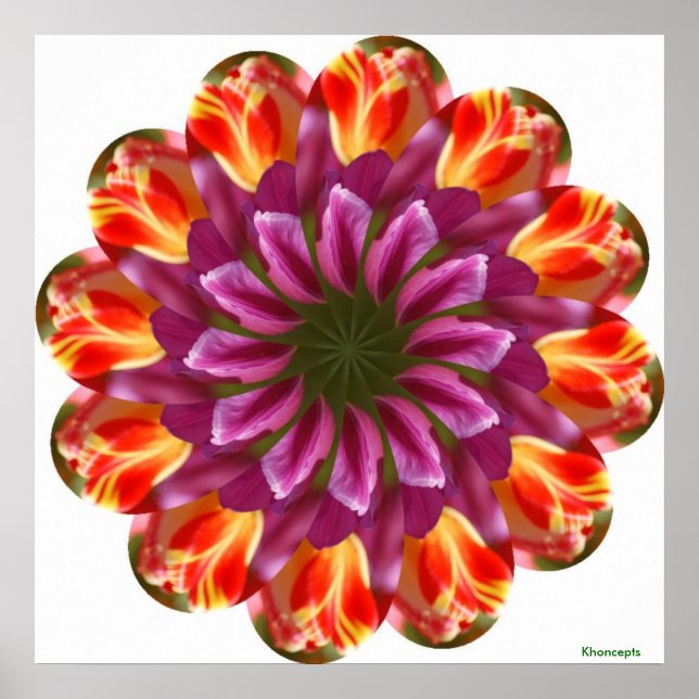 Affiche Tulipes violettes, rouges et jaunes (Devant)