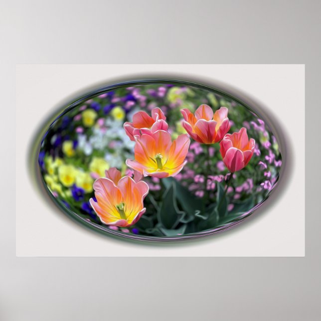 Affiche Tulips de golf (Devant)