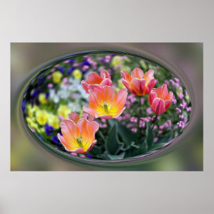 Affiche Tulips de golf