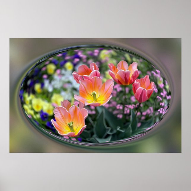 Affiche Tulips de golf (Devant)