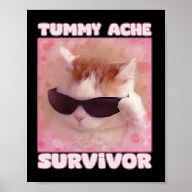 Affiche Tummy Ache Survivant Chat drôle (Devant)