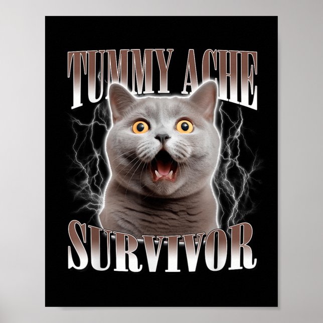 Affiche Tummy Ache Survivor Cat Meme Drôle Citation Dit Ca (Devant)