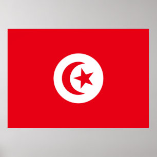 Affiche Tunisia Flag