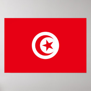 Affiche Tunisia - Tunisian Flag