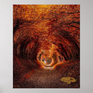 Affiche Tunnel des arbres - Une lumière au bout du tunnel