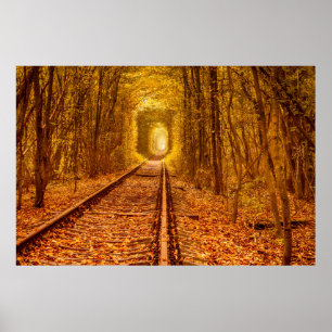 Affiche Tunnel ferroviaire de la forêt d'Ukraine Amour pay