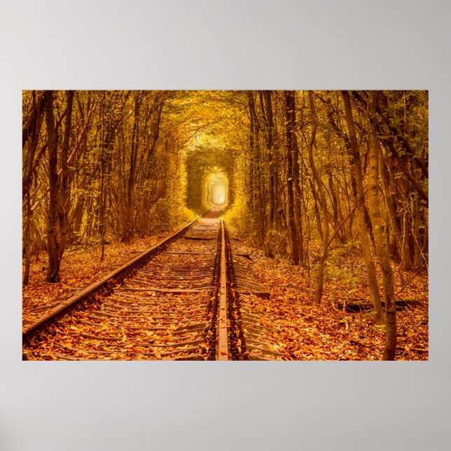 Affiche Tunnel ferroviaire de la forêt d'Ukraine Amour pay (Devant)