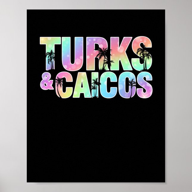 Affiche Turks & Caicos Palm Trees Souvenir (Devant)