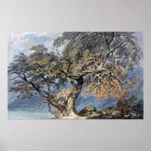 Affiche Turner - Grand Arbre
