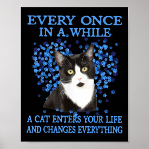 Affiche Tuxedo Chat De Temps En Temps Un Chat Entre Dans V