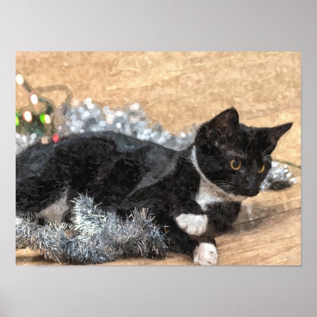 Affiche Tuxedo Kitten Tinsel et lumières peint (Devant)