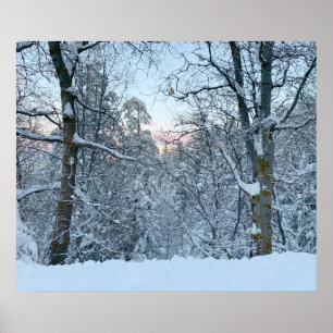 Affiche Twin Peaks neige sur les arbres