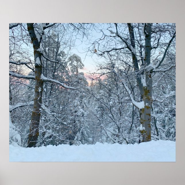 Affiche Twin Peaks neige sur les arbres (Devant)