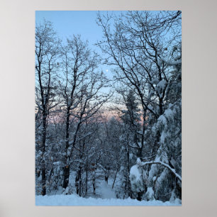 Affiche Twin Peaks Snowy Moon