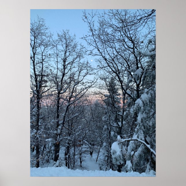 Affiche Twin Peaks Snowy Moon (Devant)