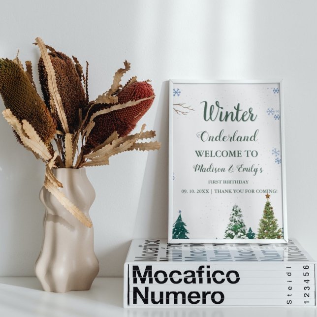 Affiche Twin WInter Onderland Noël Bienvenue Anniversaire (Créateur téléchargé)