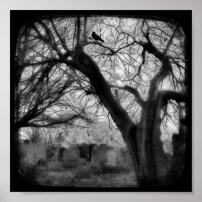 Affiche Twisted (Devant)