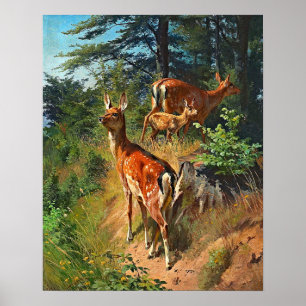 Affiche Two Deer And Cute Fawn In The Forest