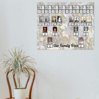 Affiche Two Family Trees on White Blossoms Photo
