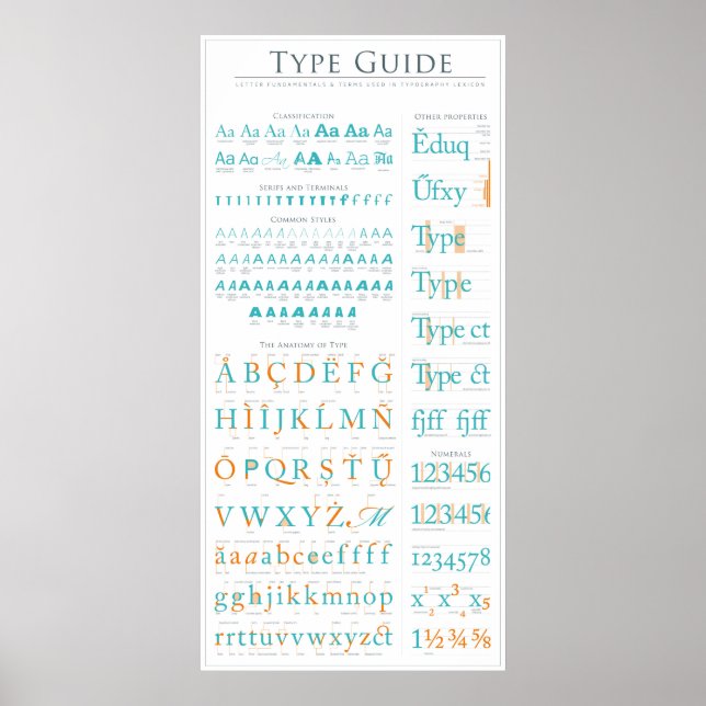 Affiche Type Anatomy Guide (Devant)