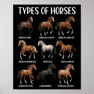 Affiche Types De Chevaux Chemise Drôle Cheval Élevage Chev