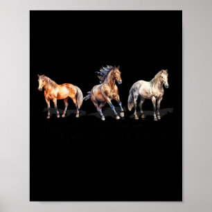 Affiche Types De Chevaux Cheval Élevage Équitation Équitat