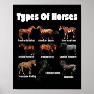 Affiche Types De Chevaux Chevaux Rétro Se Reproduisent Vin