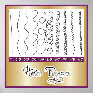 Affiche Types de cheveux1
