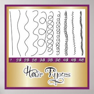 Affiche Types de cheveux1
