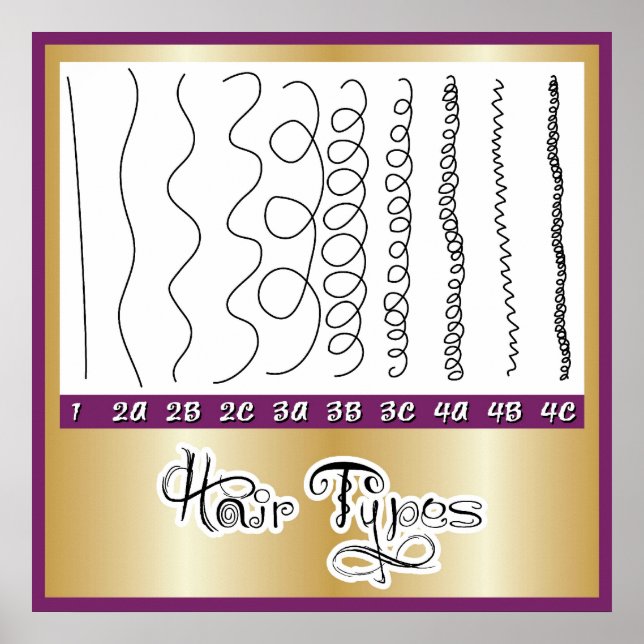 Affiche Types de cheveux1 (Devant)