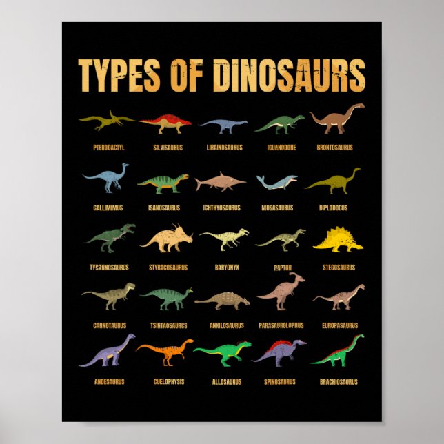 Affiche Types De Dinosaures - Identification Dino - Rex Di (Devant)