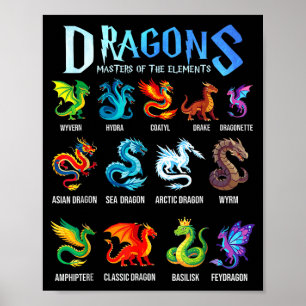Affiche types de dragons de fantaisie dragons maîtres de l