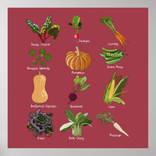 Affiche Types de Légumes d'automne Chute Récolte de légume